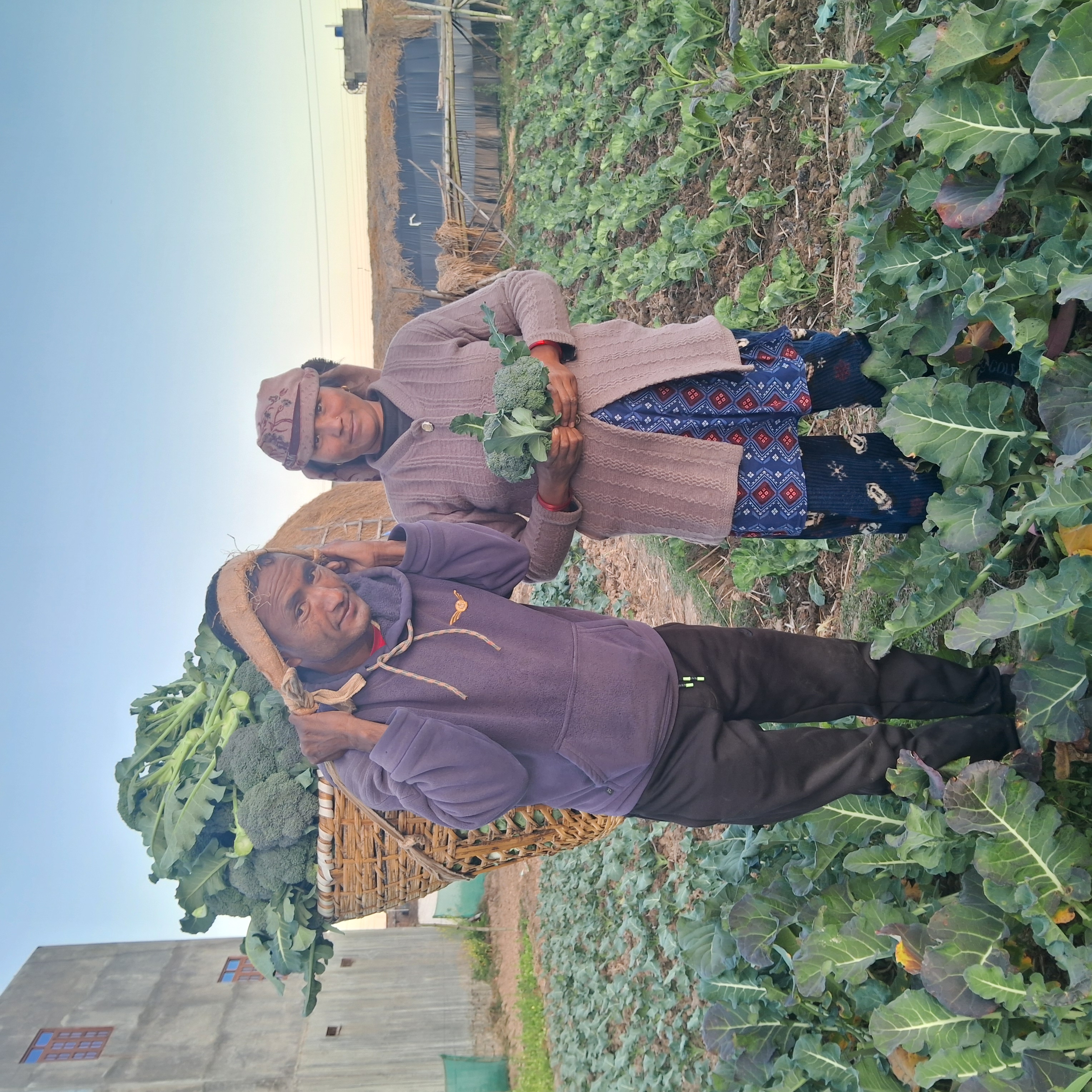 Dhan Bahadur Rawat, a vegetable entrepreneur of Birendranagar Surkhet, ready to sell his organic vegetable