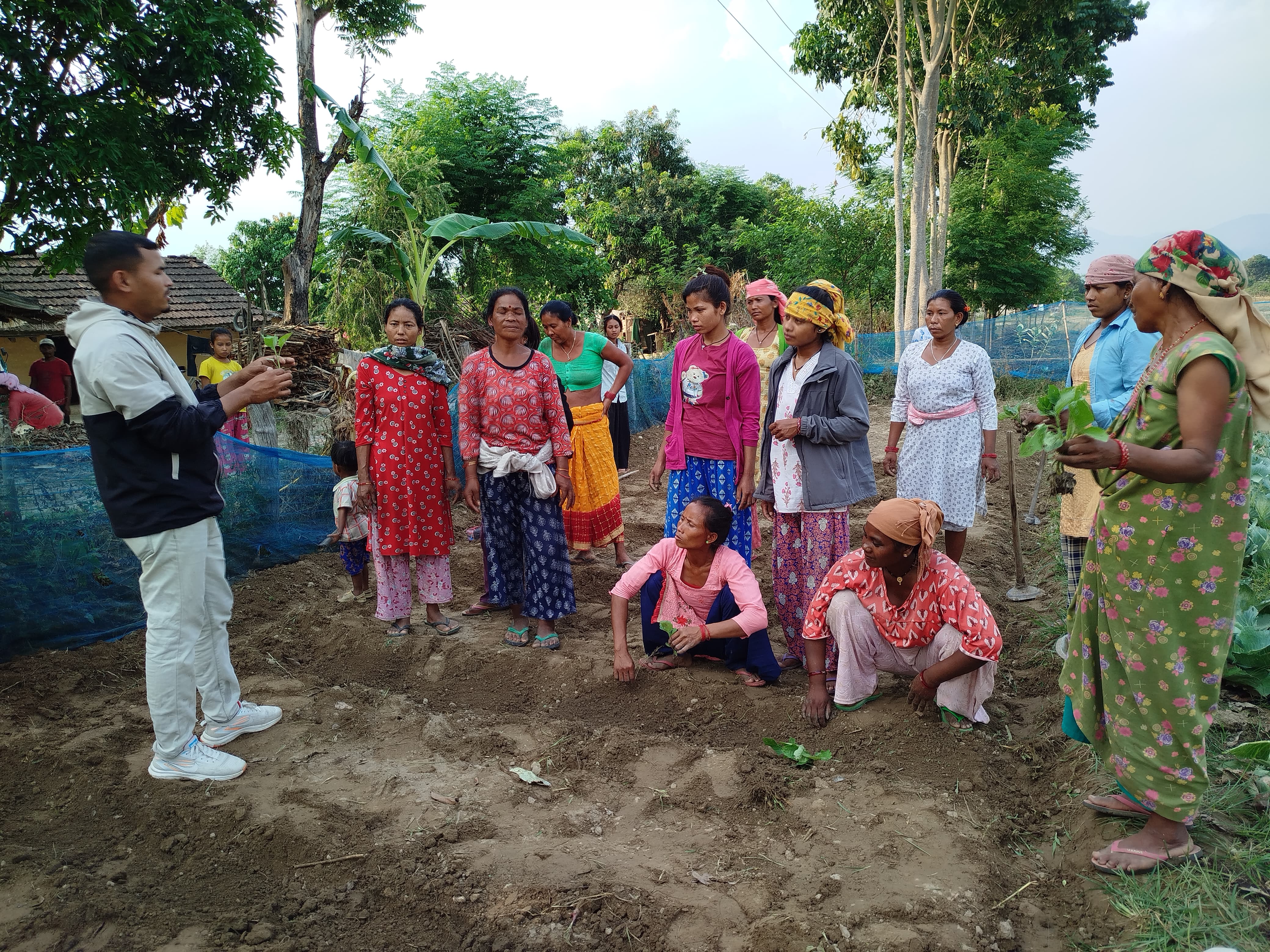 Farmers Field School Training Facilitator conducting  the class at , Krishnapur, Kanchanpur
