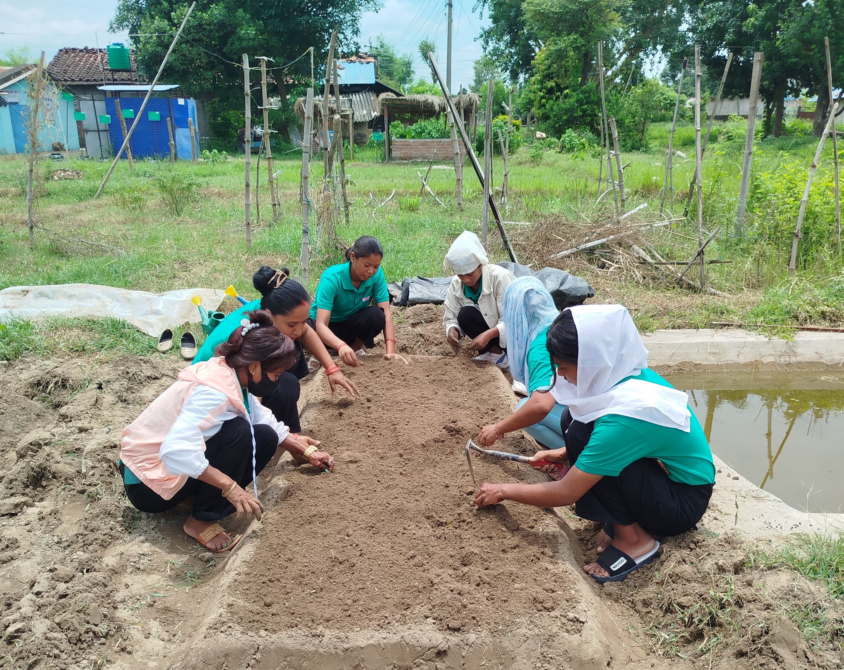 Participants of Commercial Vegetable Farming,doing practical  session of making nursery at  Krishnapur -4, Kanchanpur, Pic- Ram Kishan