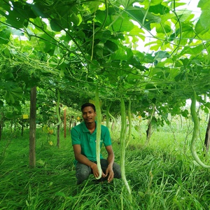 Seeds of Change: How Farming Transformed Puran Rana’s Life