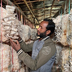 From Struggle to Sustainability: Dhan Bahadur Rawat’s Journey to Modern Organic Farming