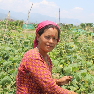 The Journey Toward Sustainable Agricultural Livelihoods