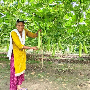 From Subsistence to Success: The Inspiring Journey of Bhagirathi Rana
