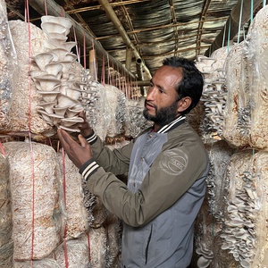 Entrepreneur Dhan Bahadaur Rawat working in his organic farm at Birendranagar, Surkhet