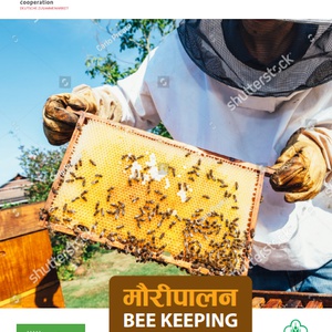 Bee Keeping Manual