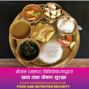 Food diversification for food & nutrition diversity